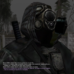 31.png
