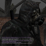 33.png