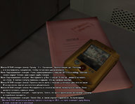 экза 40.jpg