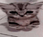 1679069631604.png