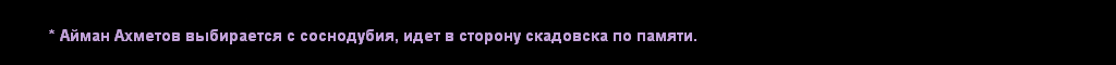 3.PNG