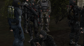 35.png
