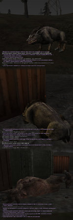 24. Эксперемент-6.jpg