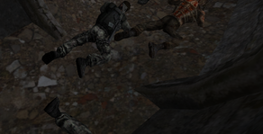 нф9.png