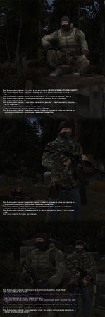 27. Собака-победила-3.jpg