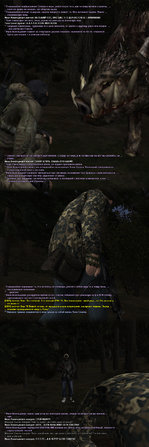 27. Собака-победила-8.jpg