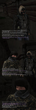 27. Собака-победила-12.jpg