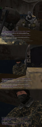 27. Собака-победила-13.jpg