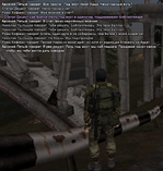 11.png