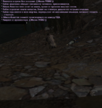 10.PNG
