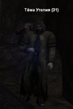 1684187696479.png
