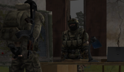 12.png