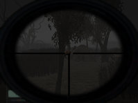 35.jpg