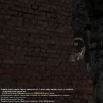 Без имени-12.jpg