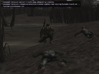 46.jpg