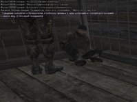 17.jpg