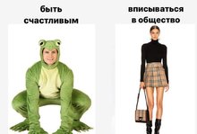 5A4dUhBqpuE.jpg