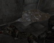сс31.png