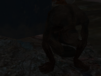 SS80.png
