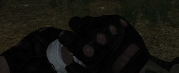 1725988045750.png
