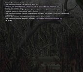 сс11.jpg