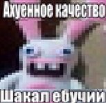 Без названия (19).jpg