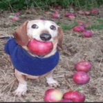 изображение_2024-10-15_134348935.png