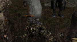 CC43.png