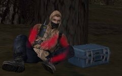 19.jpg