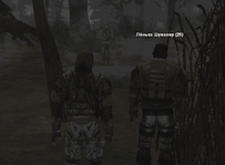 17.png