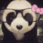 70809dee3b27e3a63e0d88594d4021e0.png