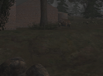 Без имени-15.png