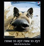 -WeM5WWjrTY.jpg