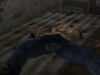 какашка.png