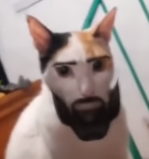 1650482903439.png