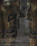 73.png