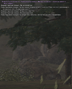 79.png