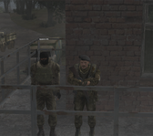6.png