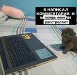 IMG_20220501_083659_140.jpg