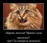 bayan_1389344934.jpg