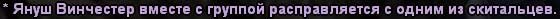 229.jpg