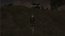 100.gif
