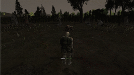 200.gif