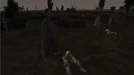 204.gif
