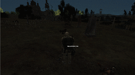213.gif