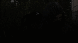 225.gif