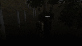 229.gif