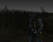 1-9.jpg