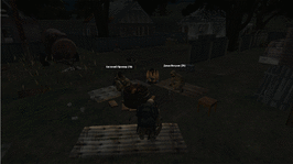 13.gif