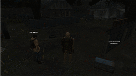 21.gif